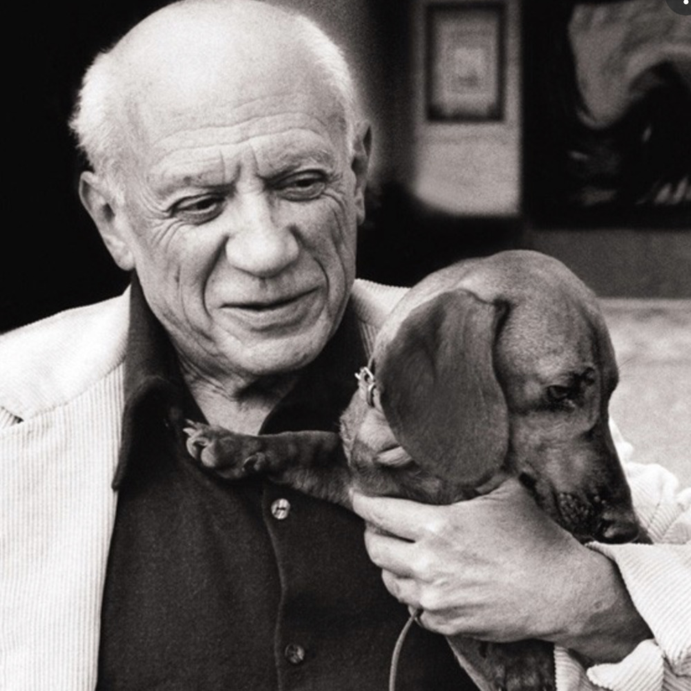 Picasso Dachshund The Dog Framed Print art.com   - Picture 3 of 10